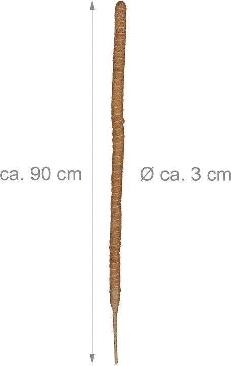 Actual product image Relaxdays 5x coconut sticks (3 cm, 3 cm)
