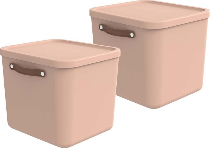Produktbild Rotho 2er-Set Aufbewahrungsbox Maloja 40l (40 l)
