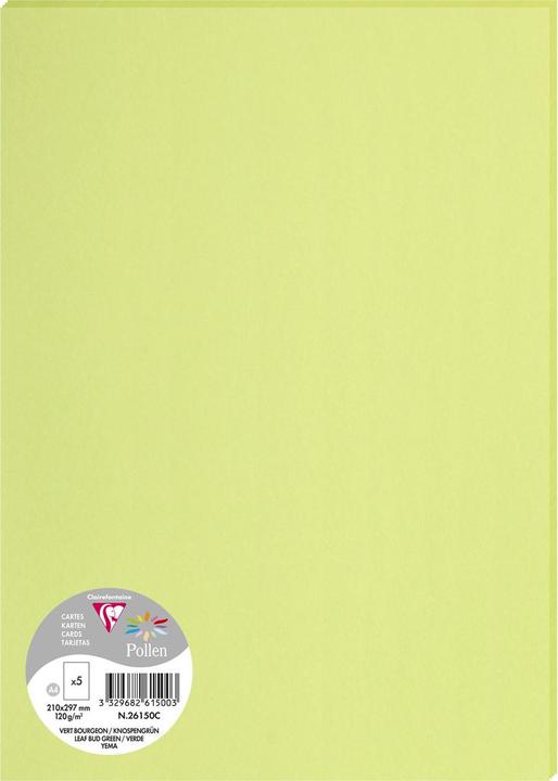 Actual product image Pollen Papier (120 g/m², 5 x, A4)
