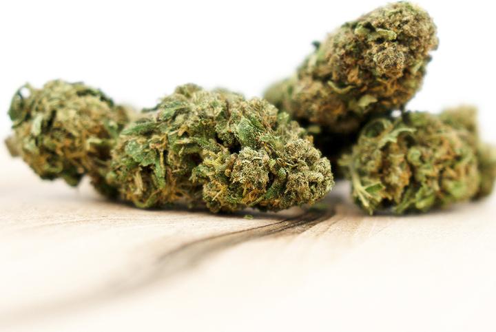 Actual product image Herba di Berna Orangello (45 g, Outdoor)