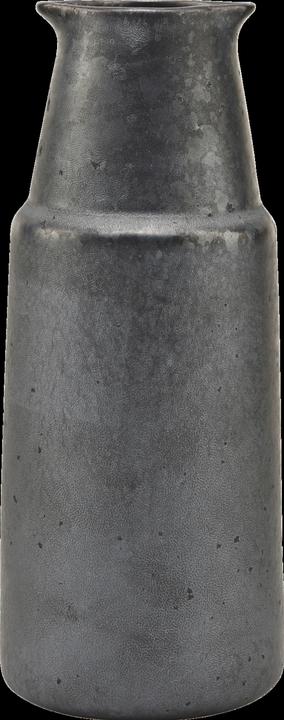 Pion (1.01 l)