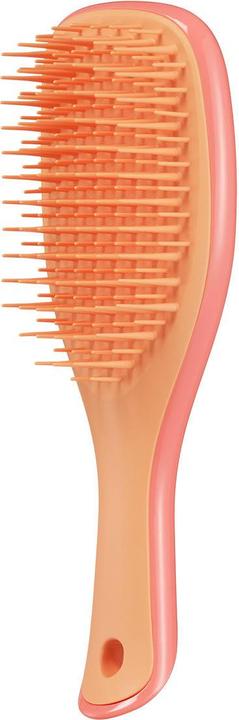 Actual product image Tangle Teezer Wet Detangler Mini
