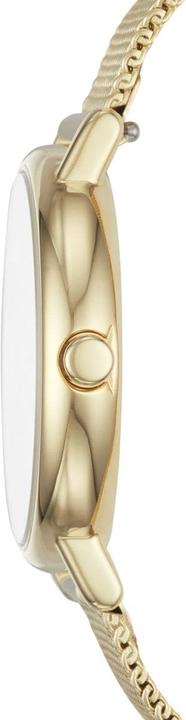 Actual product image Skagen signature (Analogue wristwatch, 30 mm)