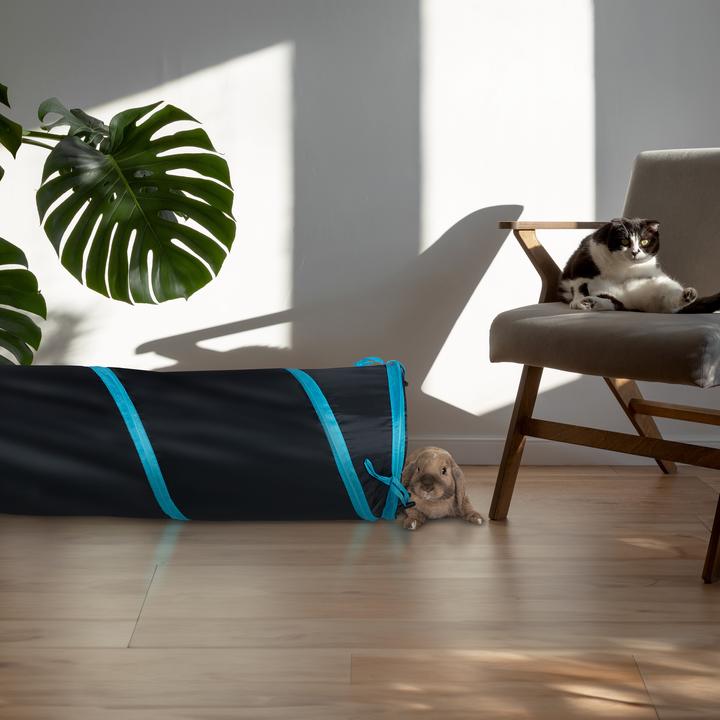Image du produit Relaxdays Tunnel pour chats (Jouet d'occupation chat)