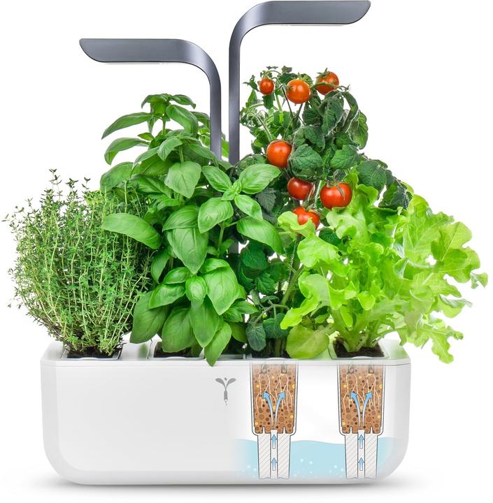 Image du produit Véritable Connect Indoor Garden (18 cm)