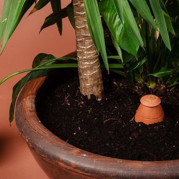 Produktbild WePot Olla M