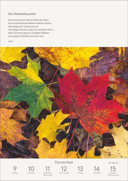 Produktbild Harenberg Literaturkalender Natur Wochen-Kulturkalender 2026 (Harter Einband, Deutsch)