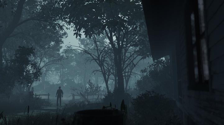 Image du produit Plaion The Evil Within 2 (kh1) (PC, IT)