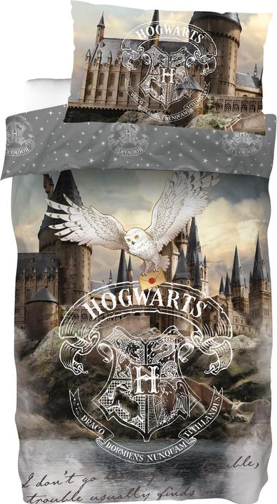 SkyBrands Harry Potter Schloss Hogwarts