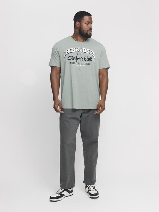 Actual product image Jack & Jones Jjelogo Tee Ss O-Neck 2 Col Aw24 S Pls (4XL)