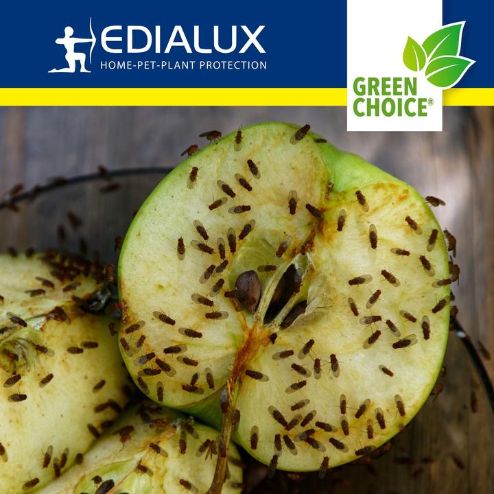 Productafbeelding Edialux Green Choice - Fruitvliegenval, 2 x 15ml