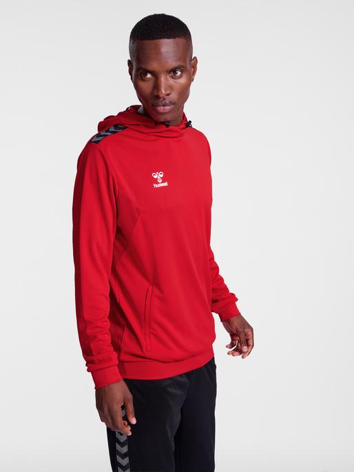 Actual product image hummel Hmlauthentic Pl Hoodie (S)