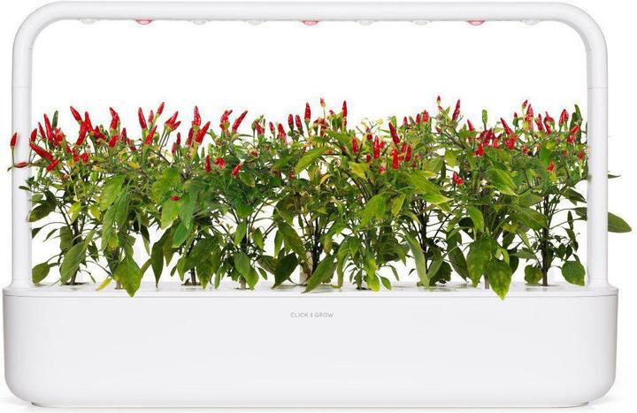 Produktbild Click and Grow Piri Piri Chili (Gemüsesamen)
