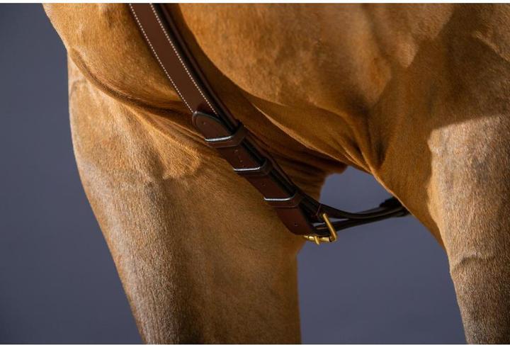Actual product image Dy'on Long bridge hunting collar for horse