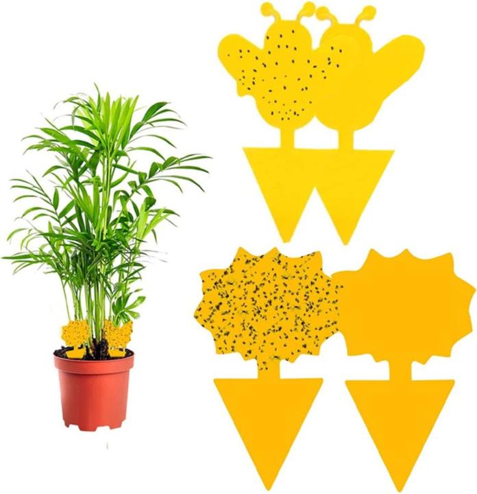 Werkstein Fruchtfliegen Falle Gelbsticker Trauermücken Klebefalle für Blumentopf 60er Set