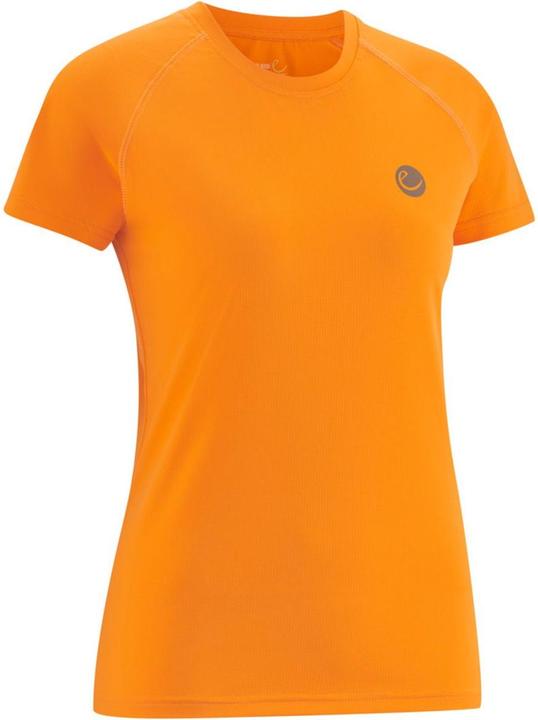 Calendula (233)