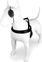 Actual product image MORSO Norwegian Hondentuig Gerecycled Gold Caviar Goud (Dog, Dog sport)