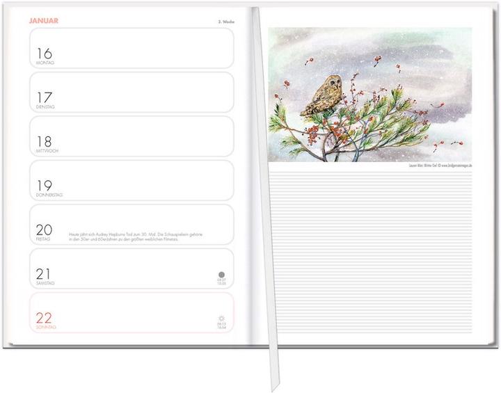 Produktbild Heye Tagebuch-Agenda Lady (A5)