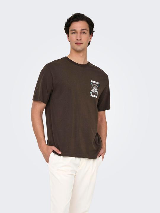 Produktbild Only & Sons Onskeane Rlx Ss Print Tee Noos (XL)