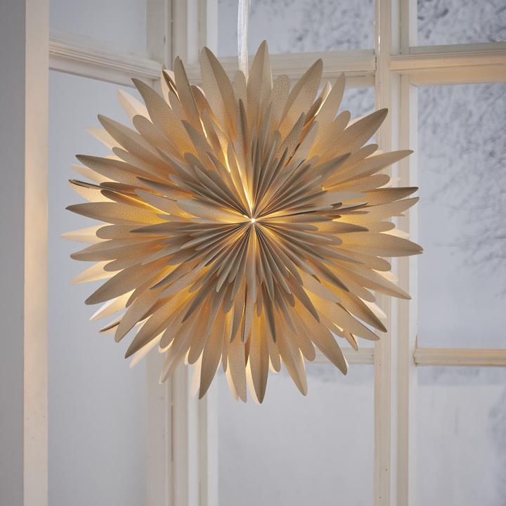 Actual product image Star Trading Winter