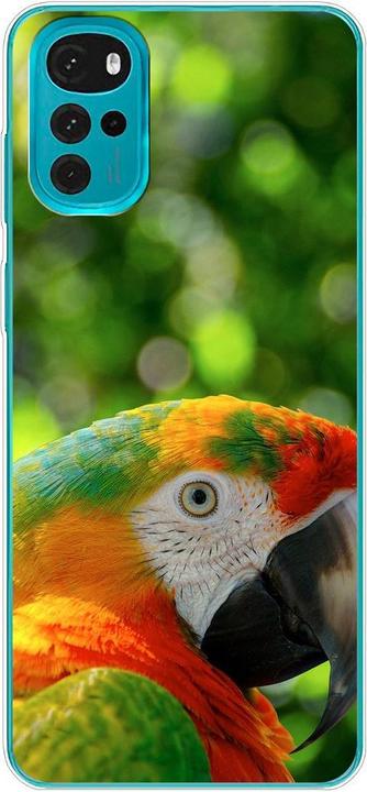Parrot