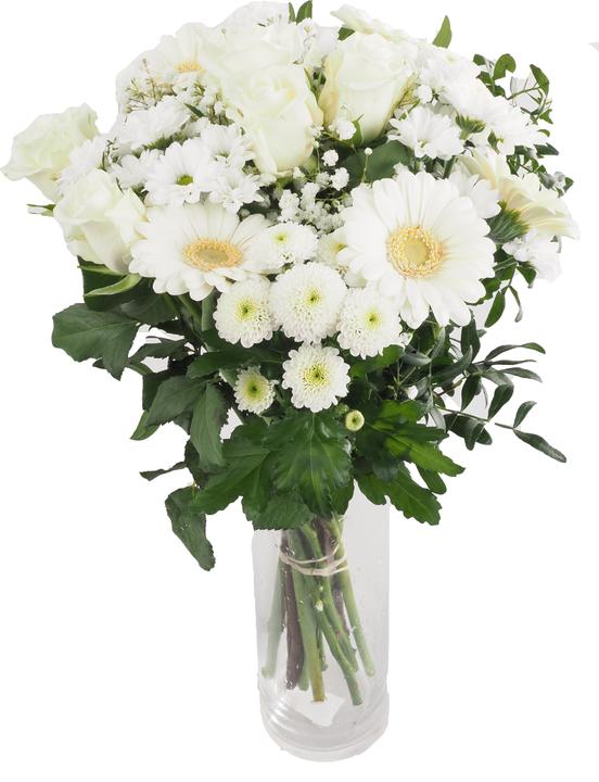 Immagine prodotto Migros Ostschweiz Grappolo grande (Fiori recisi)