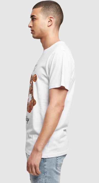 Image du produit Cayler & Sons Tee C&S Hoopday - 15143 (M)