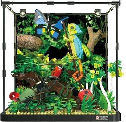 Produktbild Terrarium: Tropischer Regenwald
