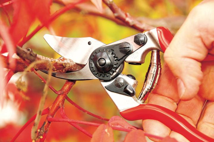 Actual product image Felco Garden shears 6