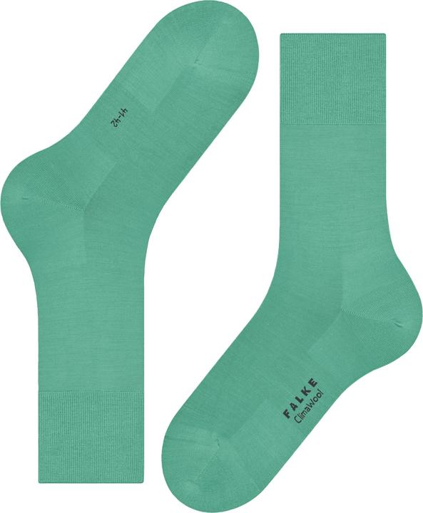 Actual product image Falke ClimaWool Herren (43 - 44)