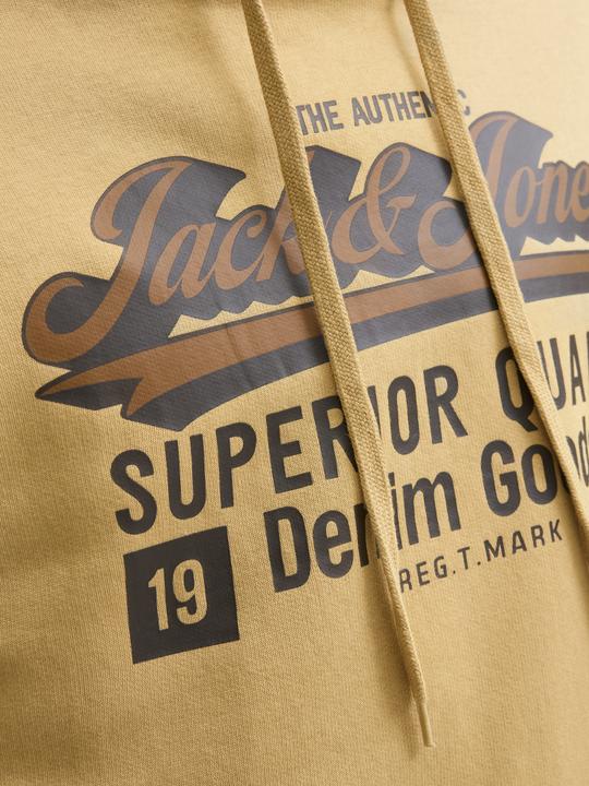 Actual product image Jack & Jones JJELOGO SWEAT HOOD 2 COL 25/26 NOOS (S)