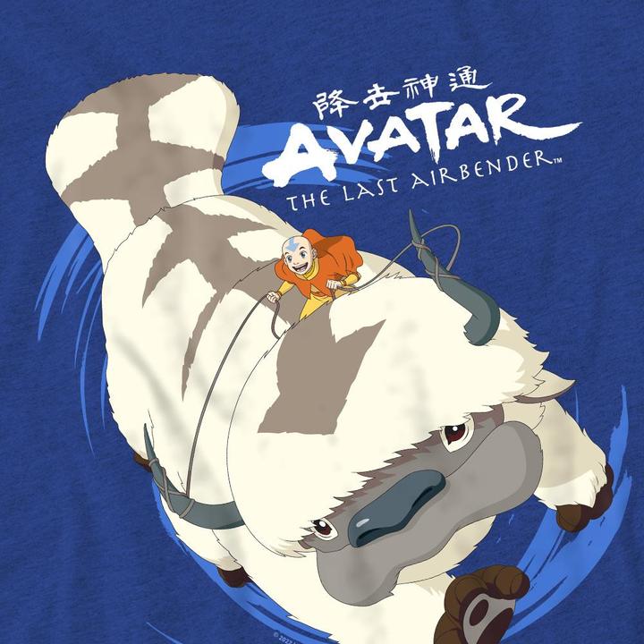Produktbild Avatar: The Last Airbender In Flight TShirt (XL)