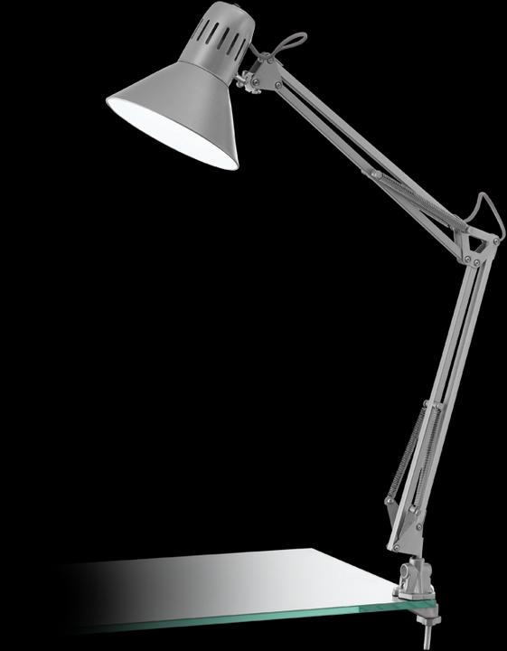 Actual product image EGLO Company (E27)