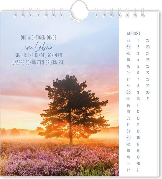 Produktbild Postkartenkalender 2026 Lichtblicke (16 x 17 cm, Harter Einband, Deutsch)
