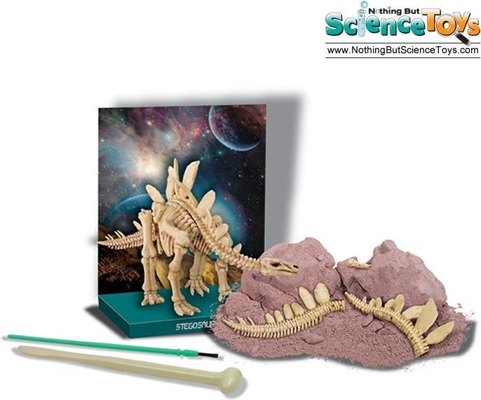Immagine prodotto 4M Scavare uno scheletro di stegosauro