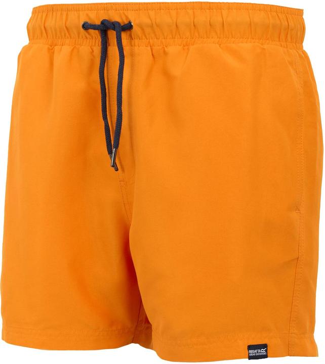 Produktbild Regatta Mawson II Kurze Hose (XXL)