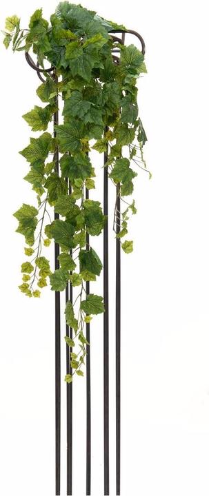Productafbeelding Europalms Premium wijnstruik (100 cm)