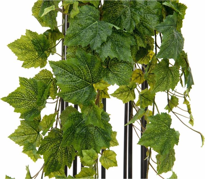 Productafbeelding Europalms Premium wijnstruik (100 cm)