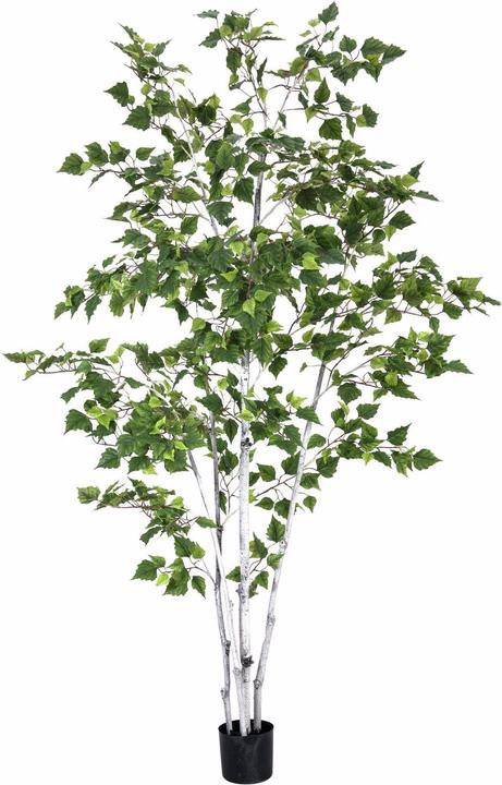 Produktbild Europalms Birkenbaum, Kunstpflanze, 210cm (210 cm)