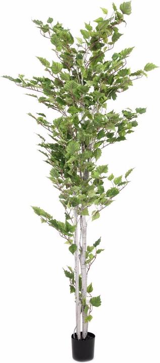 Produktbild Europalms Birkenbaum, Kunstpflanze, 210cm (210 cm)