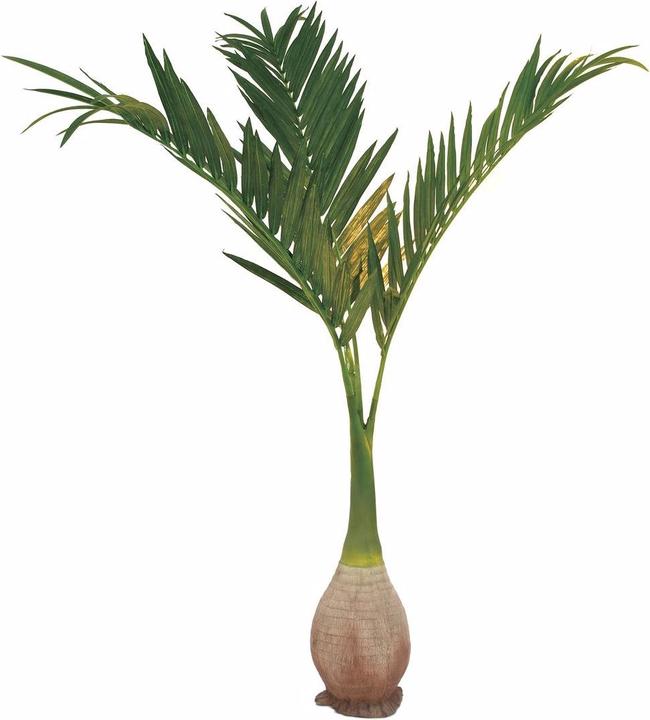 Actual product image Europalms Phoenix palm (240 cm)