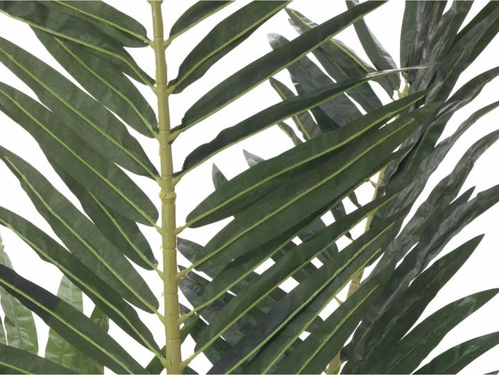 Actual product image Europalms Phoenix palm (240 cm)