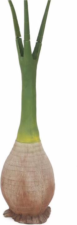 Actual product image Europalms Phoenix palm (240 cm)