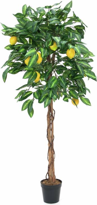 Actual product image Europalms Lemon tree, artificial plant, 180cm (180 cm)