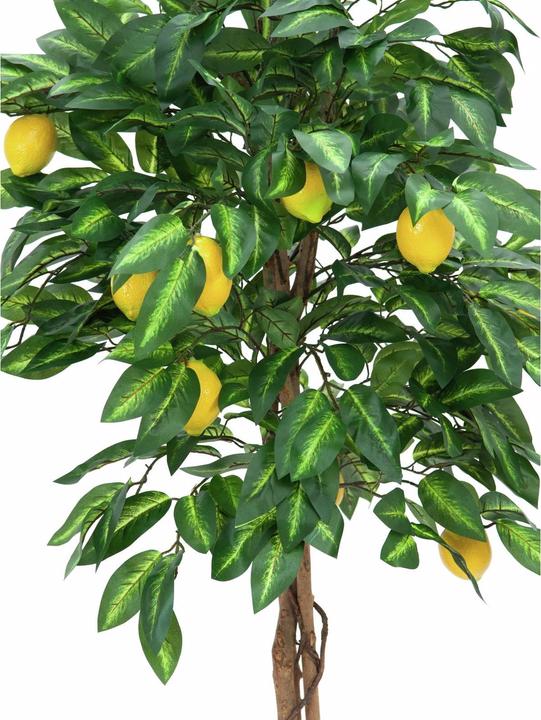 Actual product image Europalms Lemon tree, artificial plant, 180cm (180 cm)