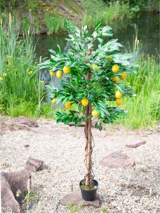 Actual product image Europalms Lemon tree, artificial plant, 180cm (180 cm)