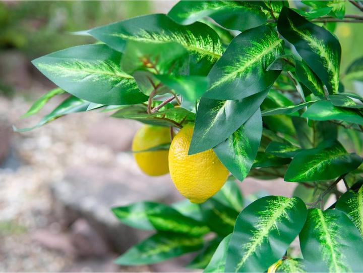 Actual product image Europalms Lemon tree, artificial plant, 180cm (180 cm)
