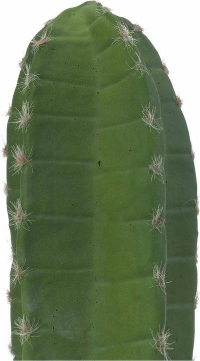 Produktbild Europalms Mexikanischer Kaktus (97 cm)