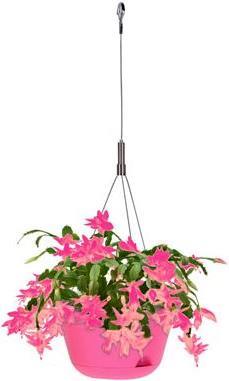 Actual product image EDA Plastiques hanging basket Toscane