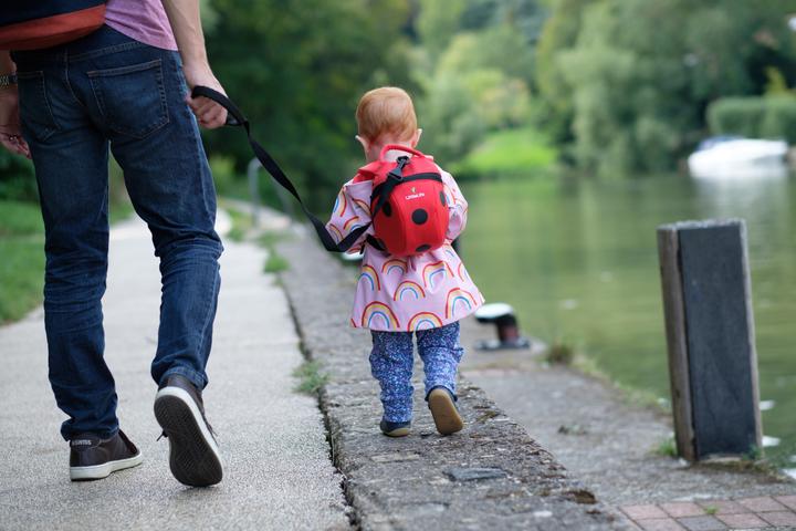 Produktbild Littlelife Toddler Backpack